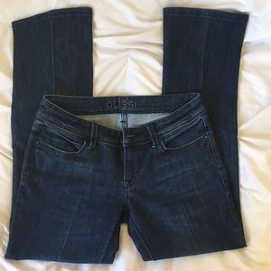 DL1961 Jeans NWOT Cindy Slim Boot Rhythm (Size 27)